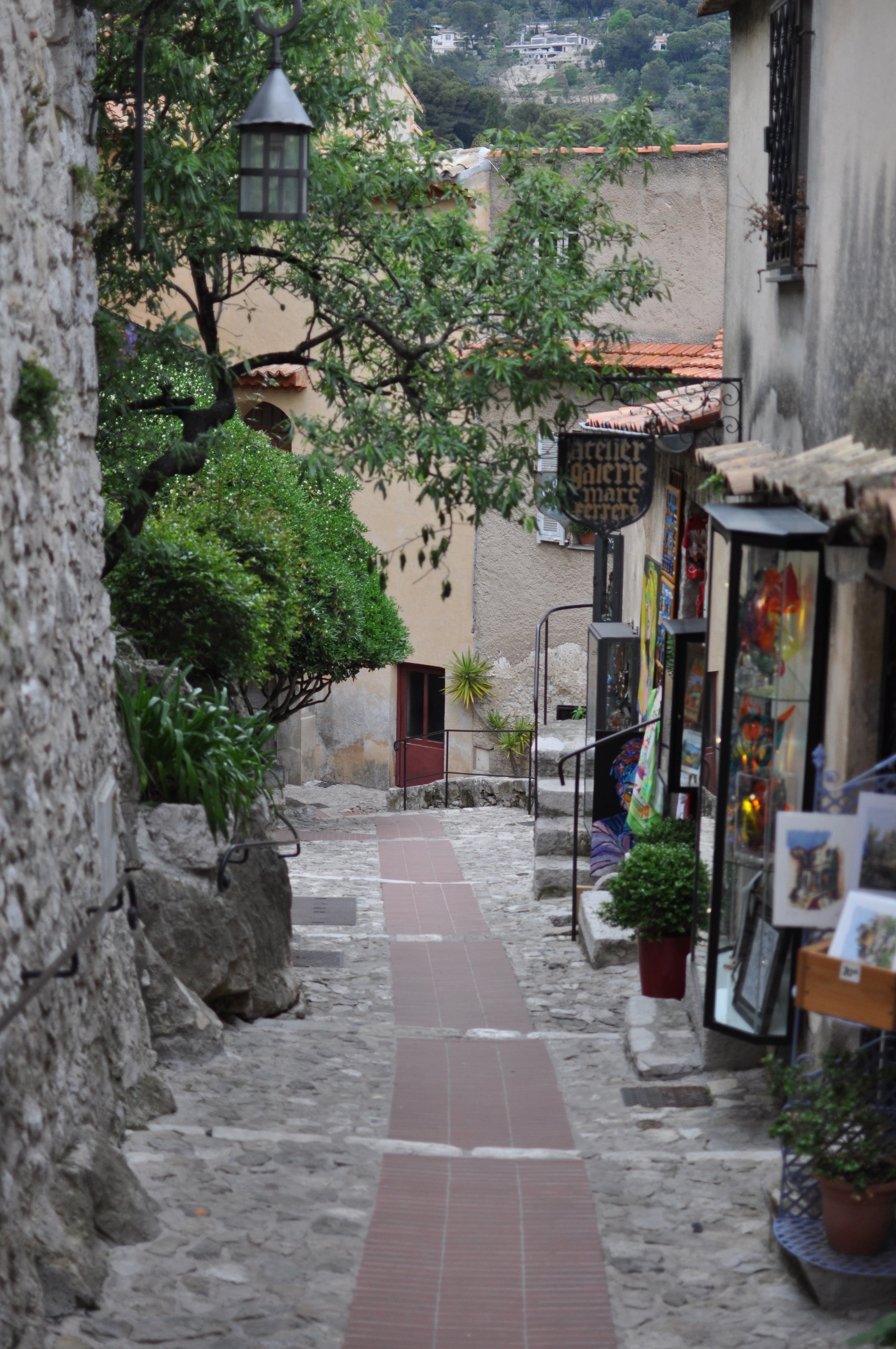 DSC_0429.jpg