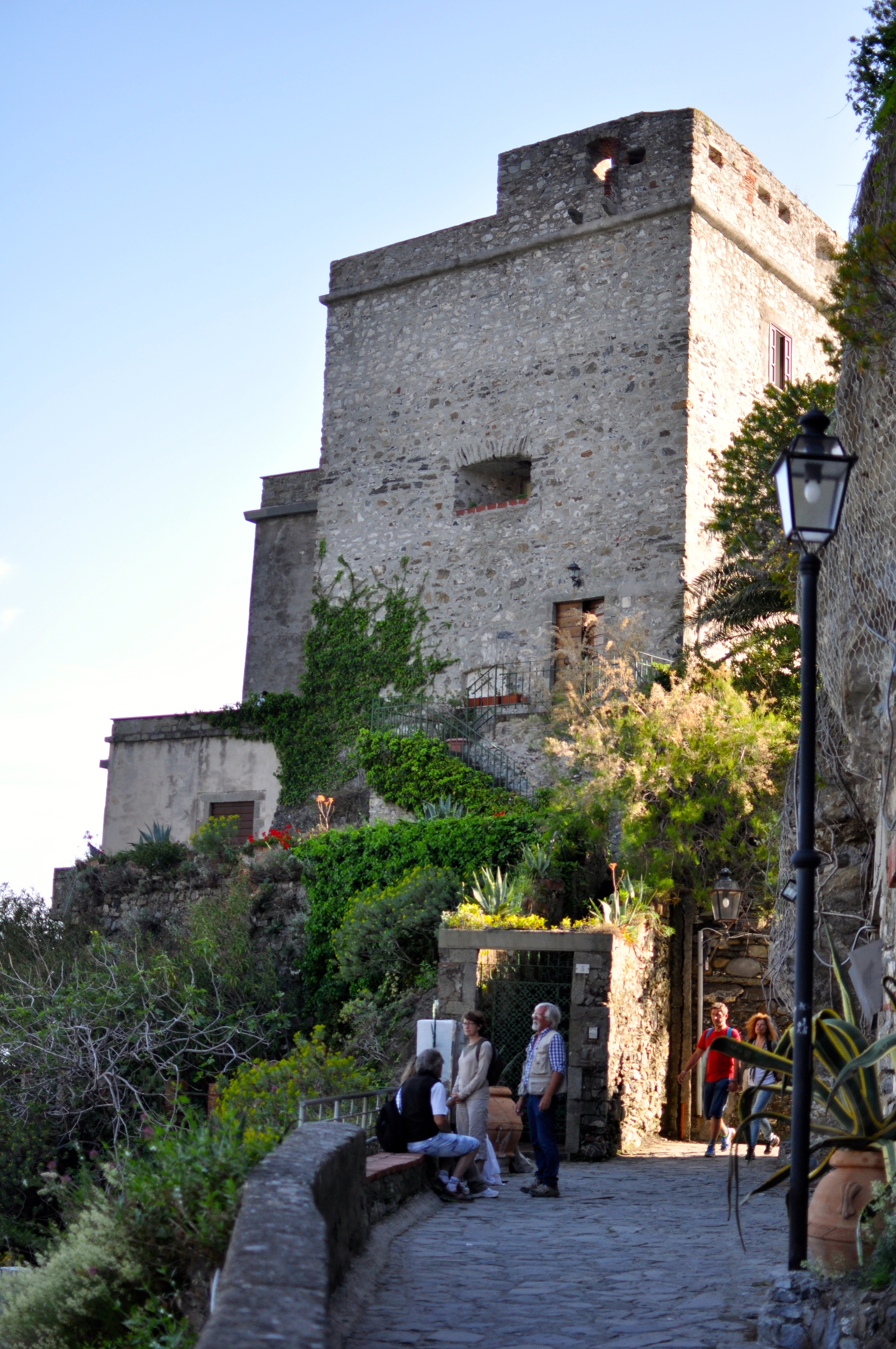 DSC_0494.jpg