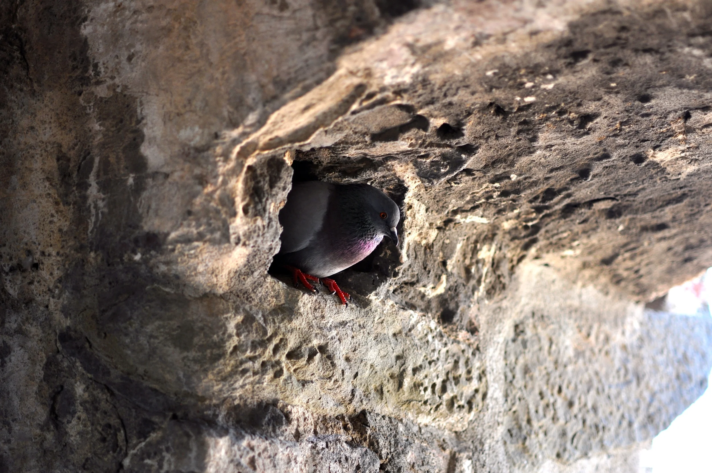 DSC_0779.JPG