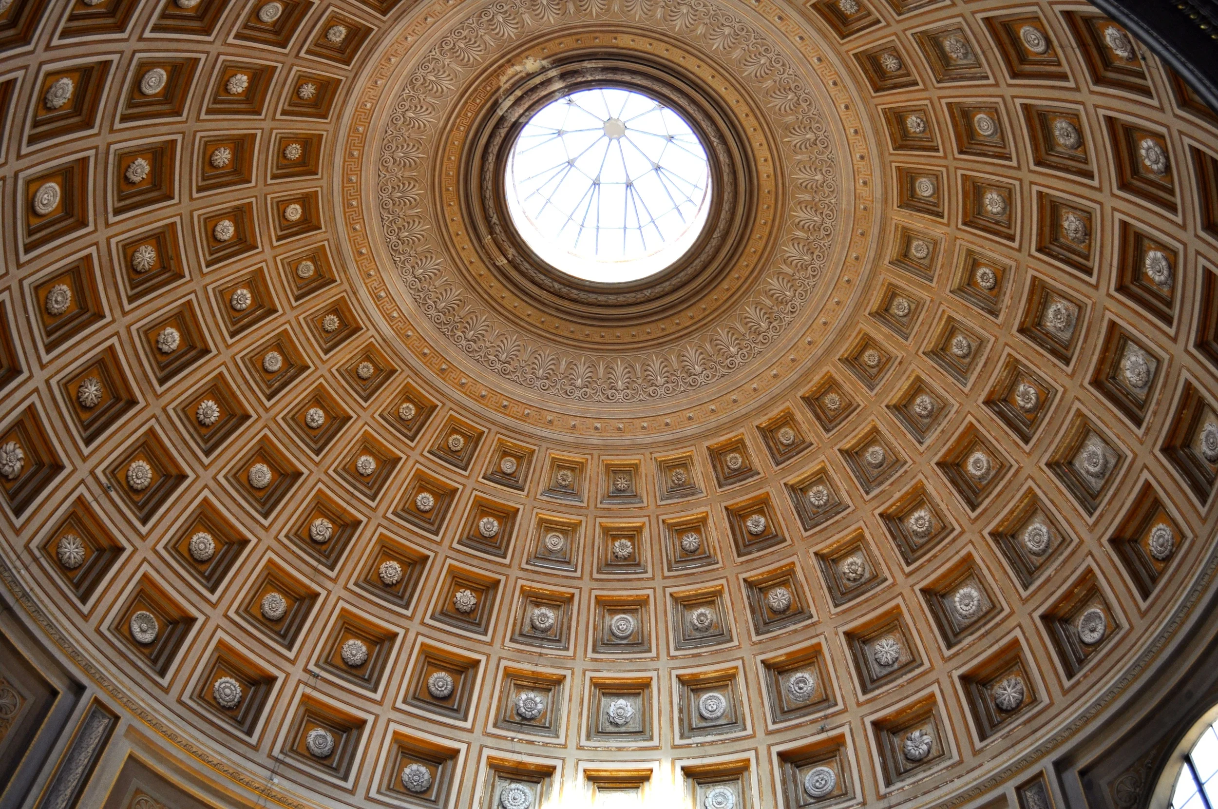 DSC_0991.JPG