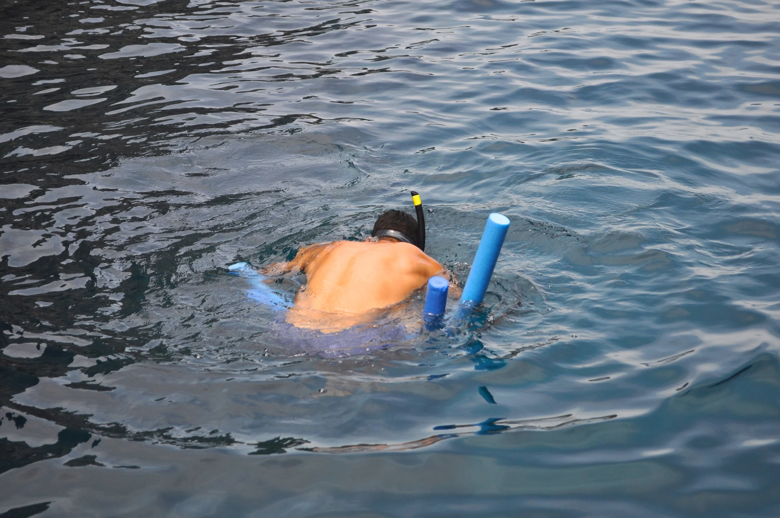 DSC_0261.JPG