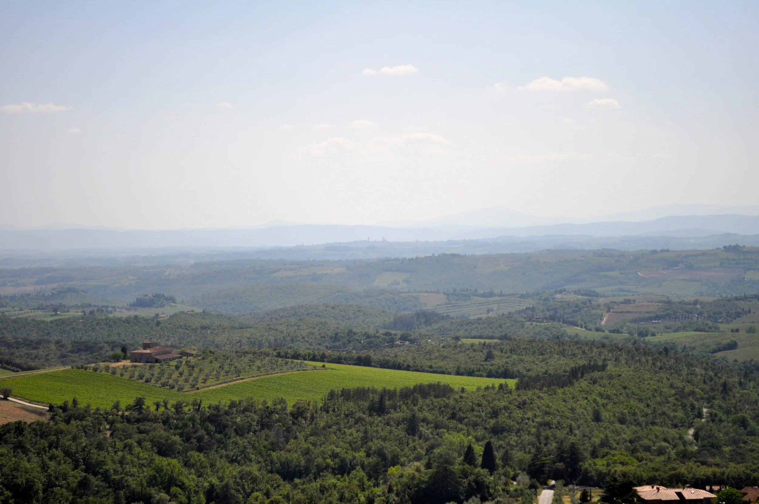 DSC_0568.JPG