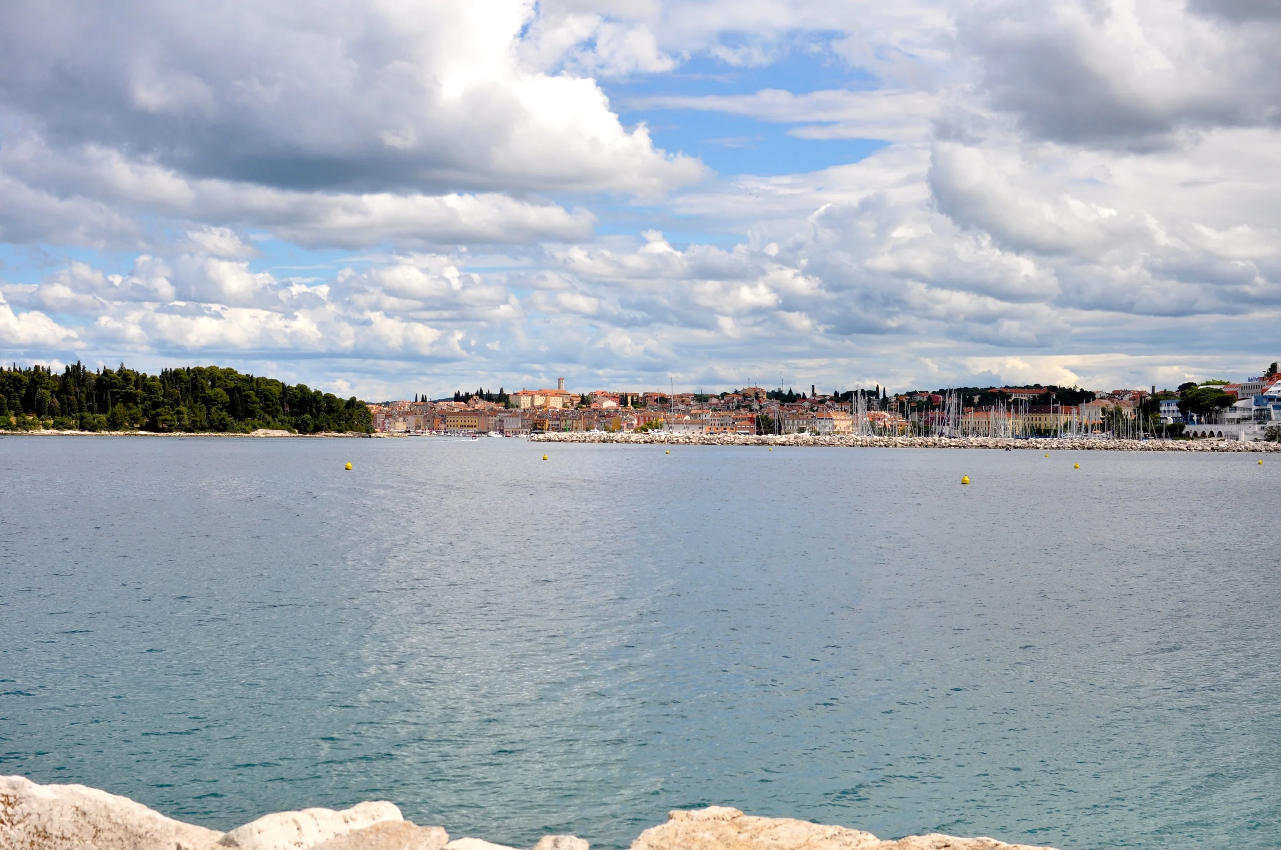 DSC_0724.JPG