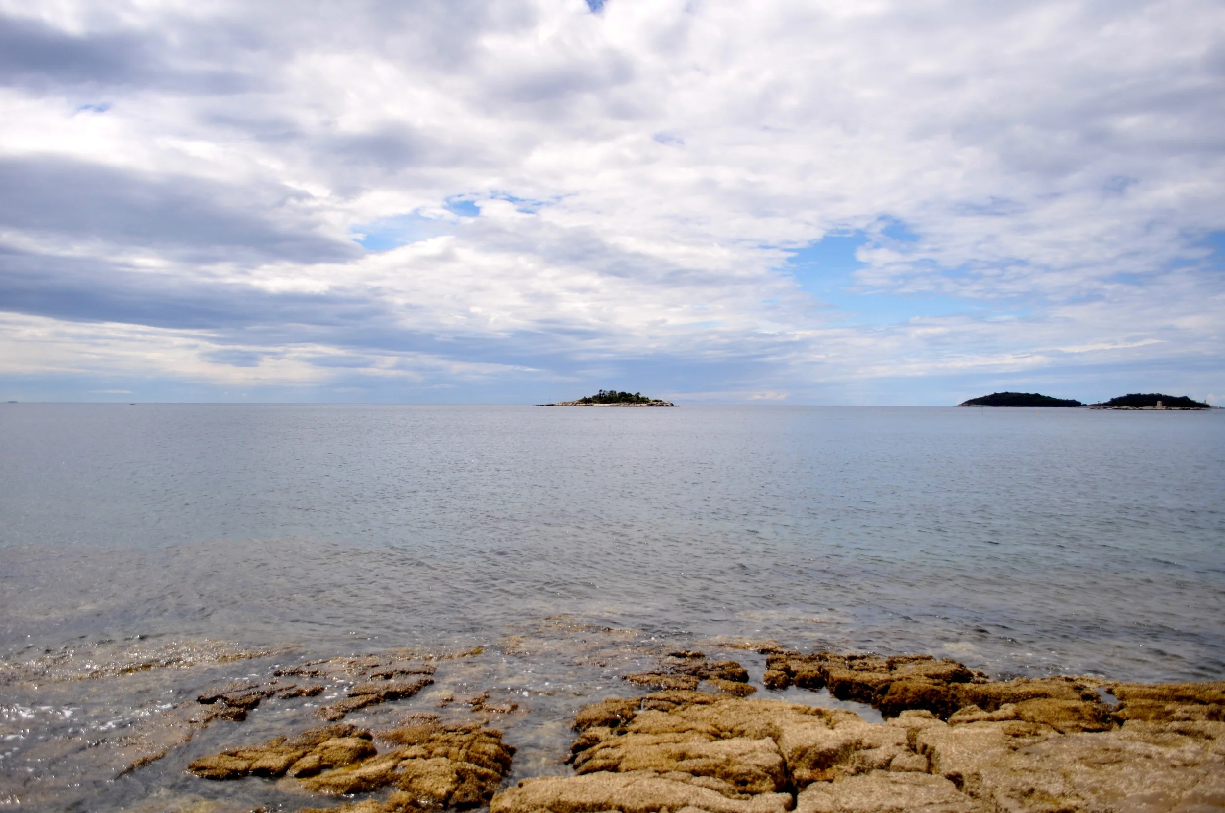 DSC_0736.JPG