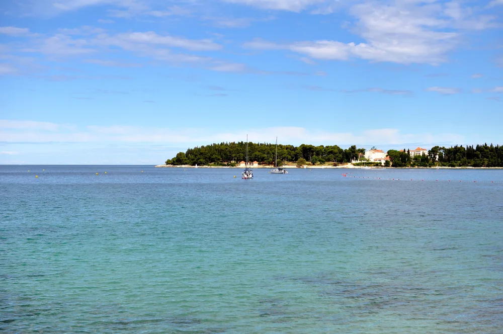 DSC_0721.JPG