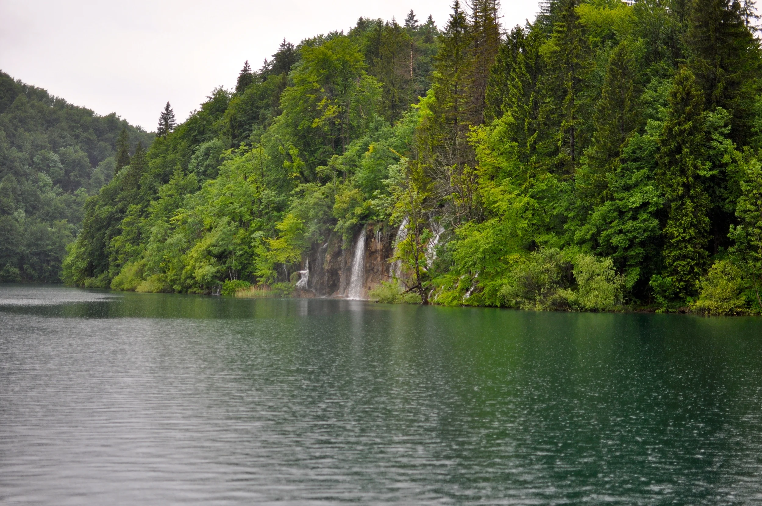 DSC_0791.JPG