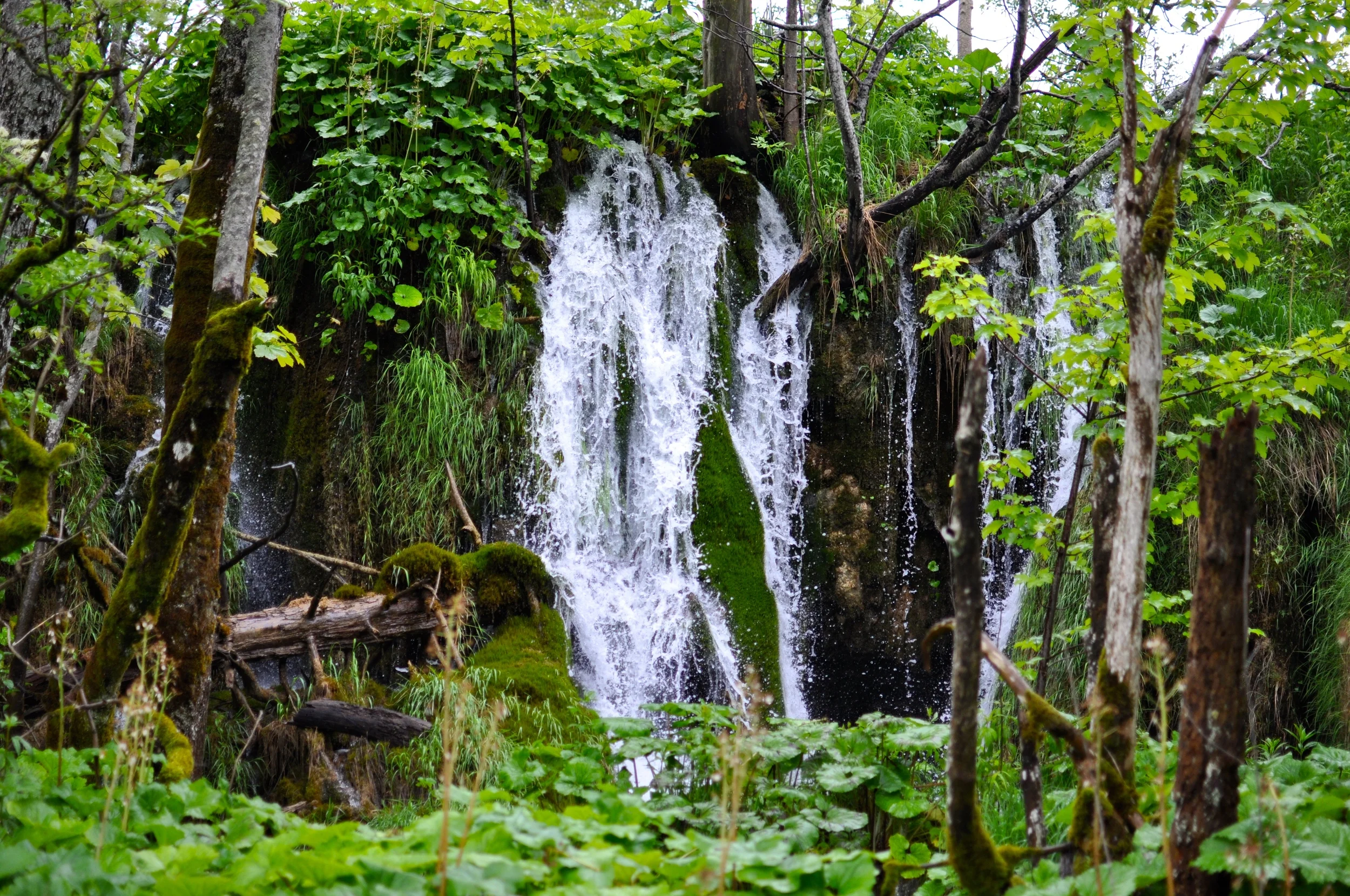 DSC_0800.JPG