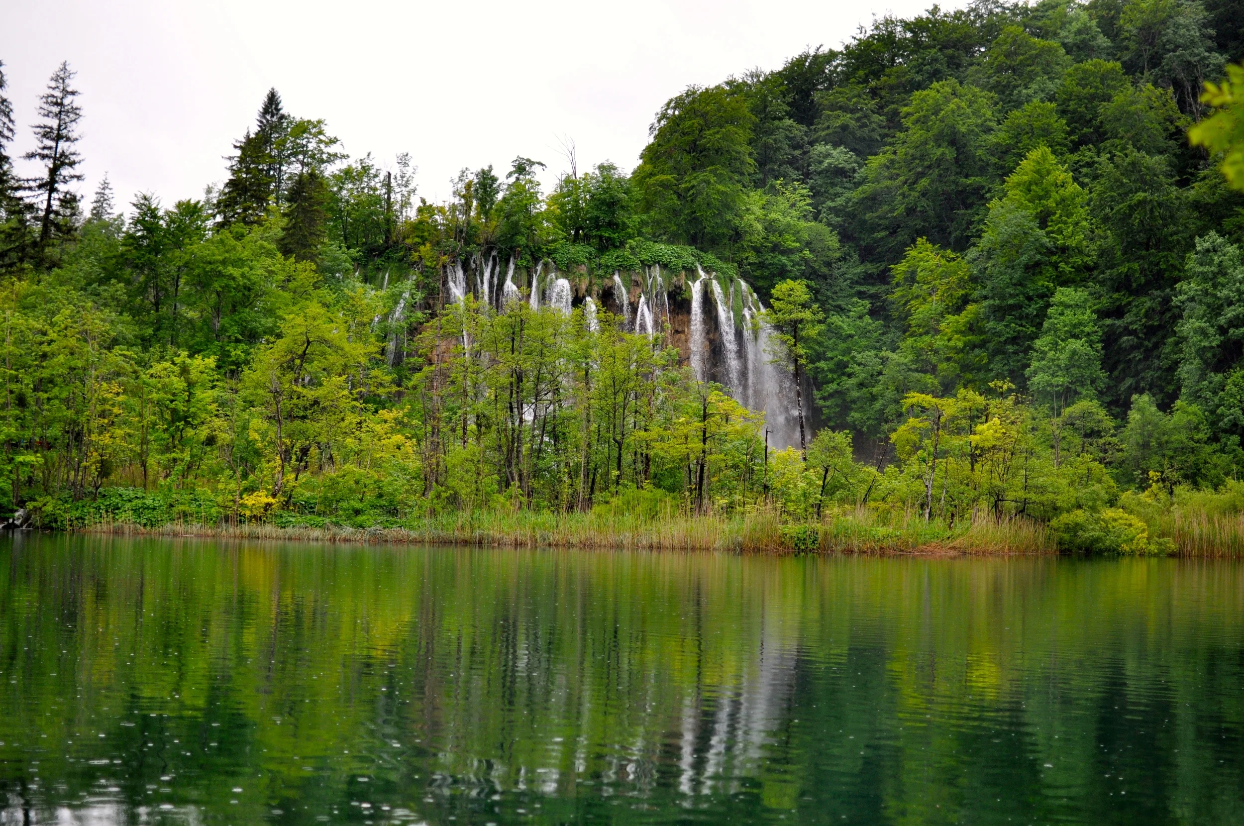 DSC_0825.JPG