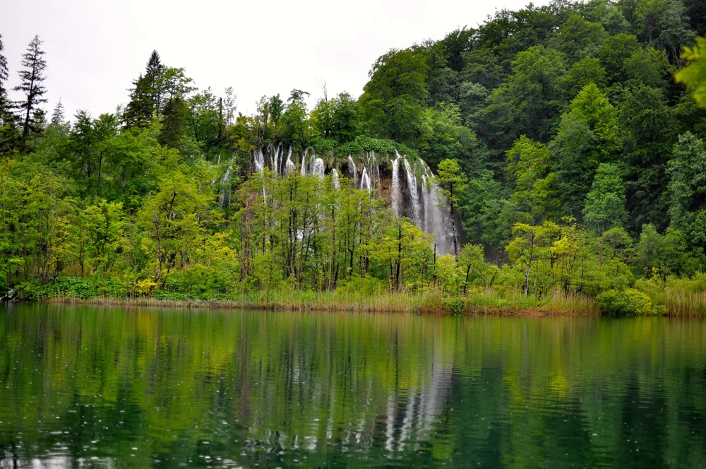 DSC_0825.JPG