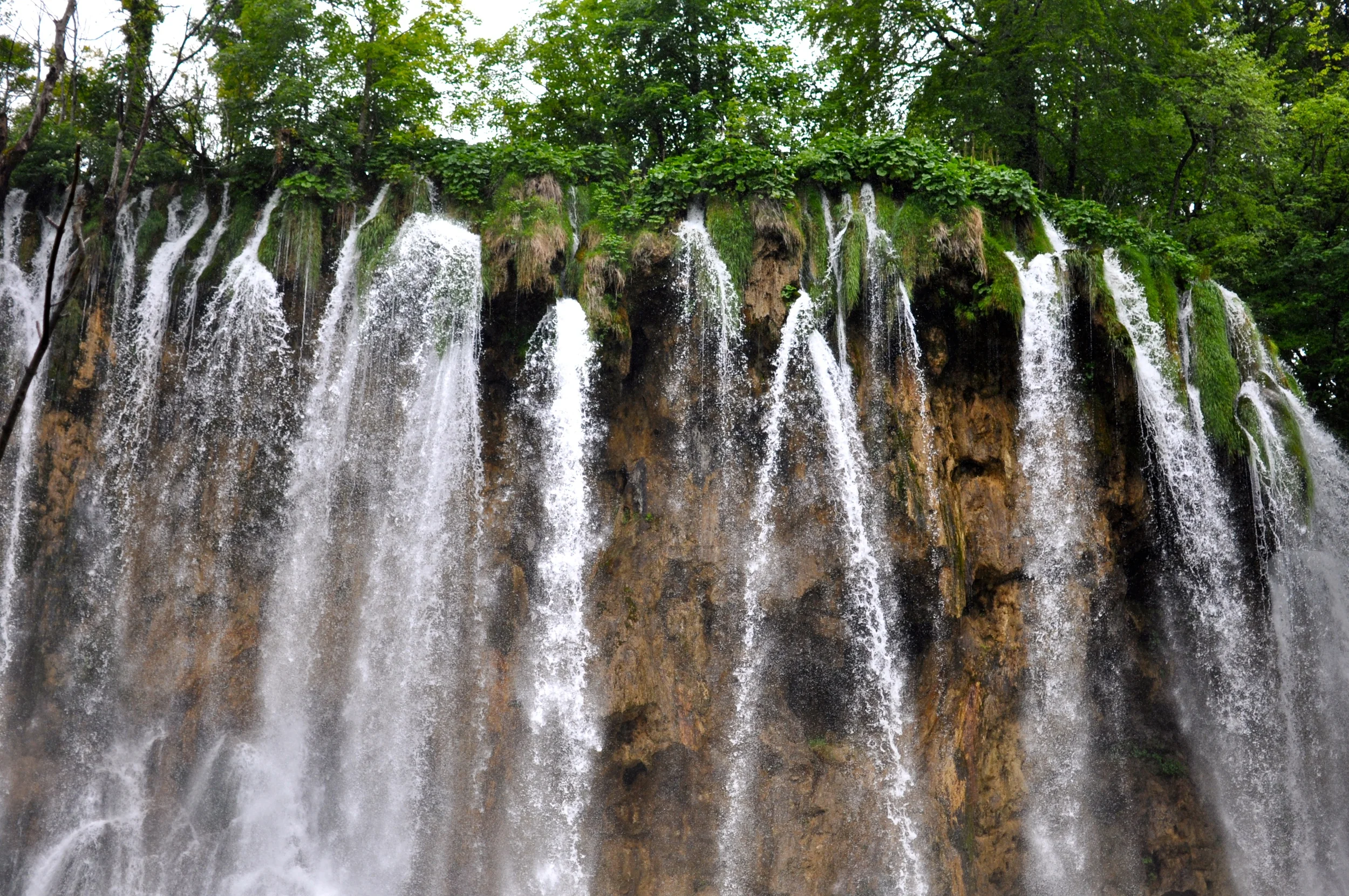 DSC_0830.JPG