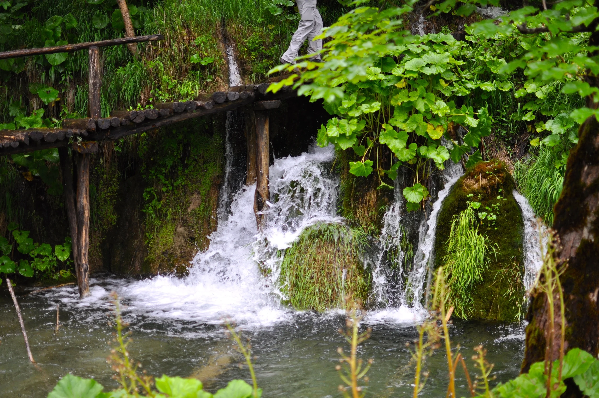 DSC_0837.JPG
