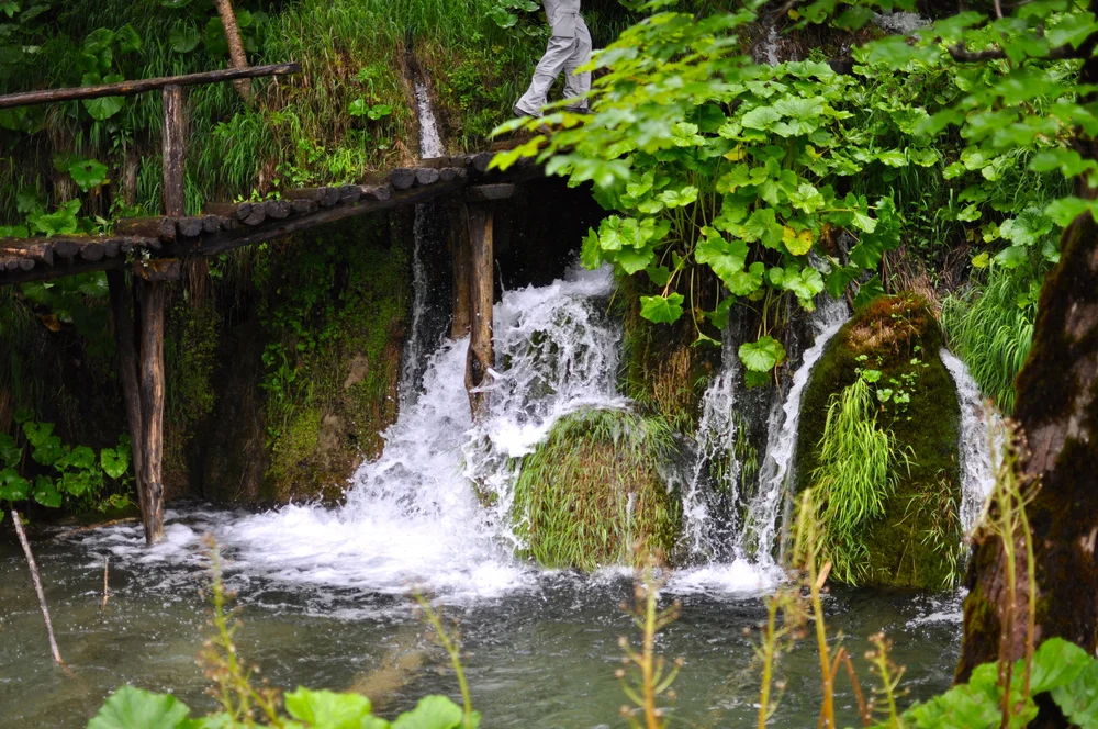 DSC_0837.JPG