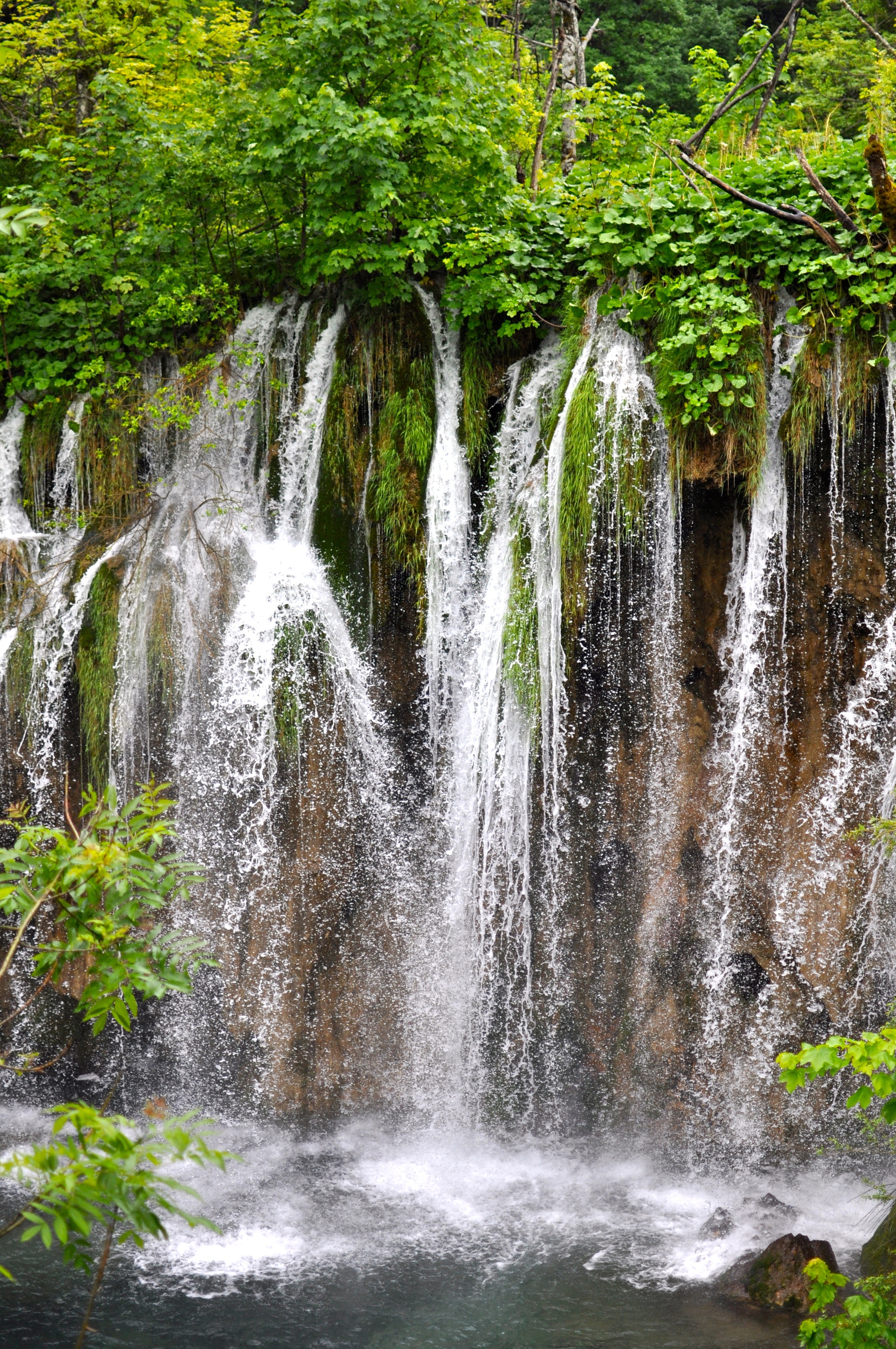 DSC_0838.jpg