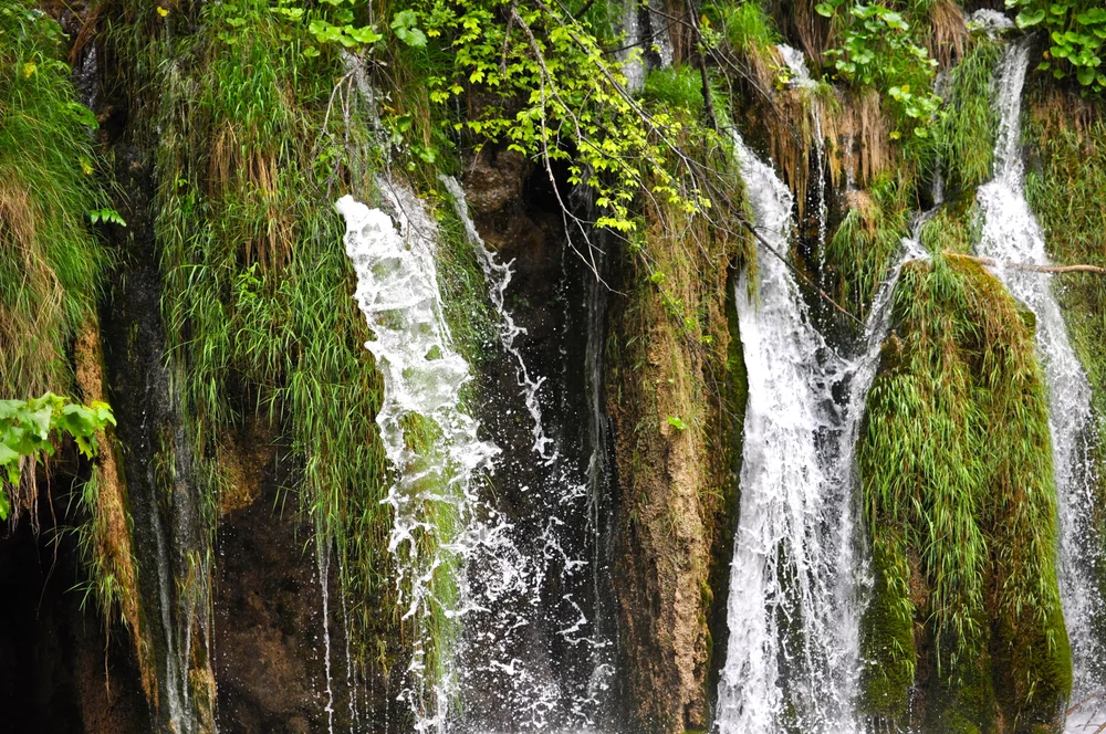 DSC_0804.JPG