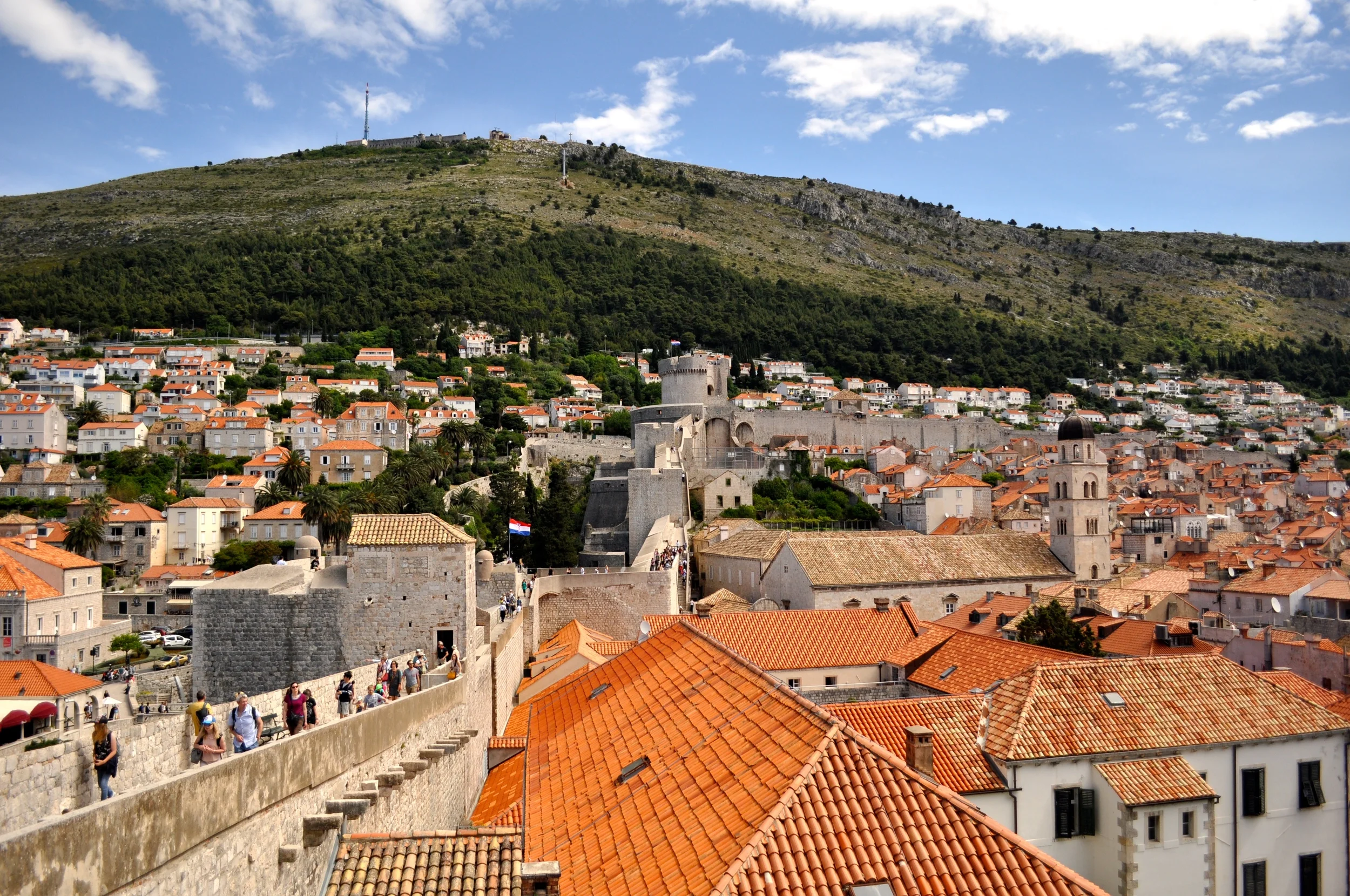 DSC_0953.JPG
