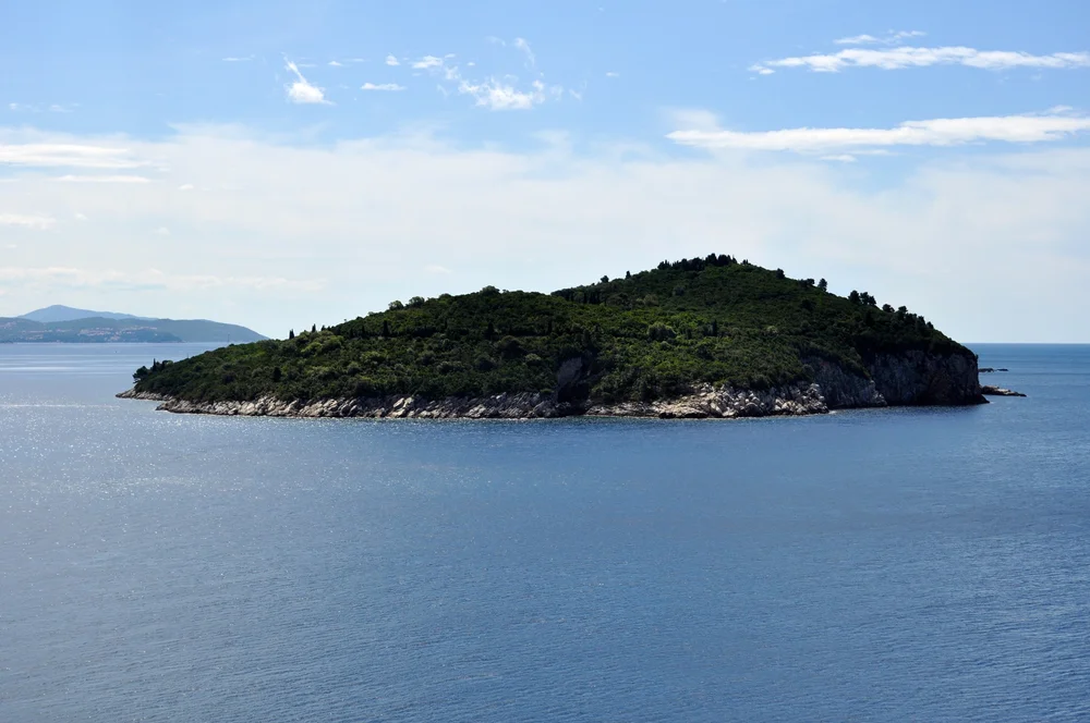 DSC_0967.JPG