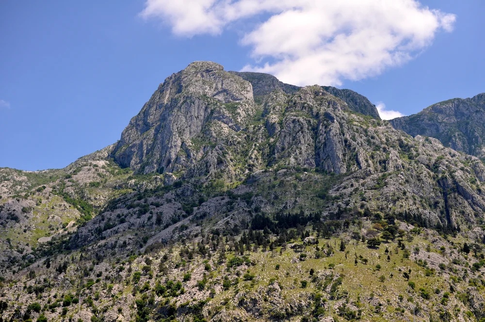 DSC_0101.JPG