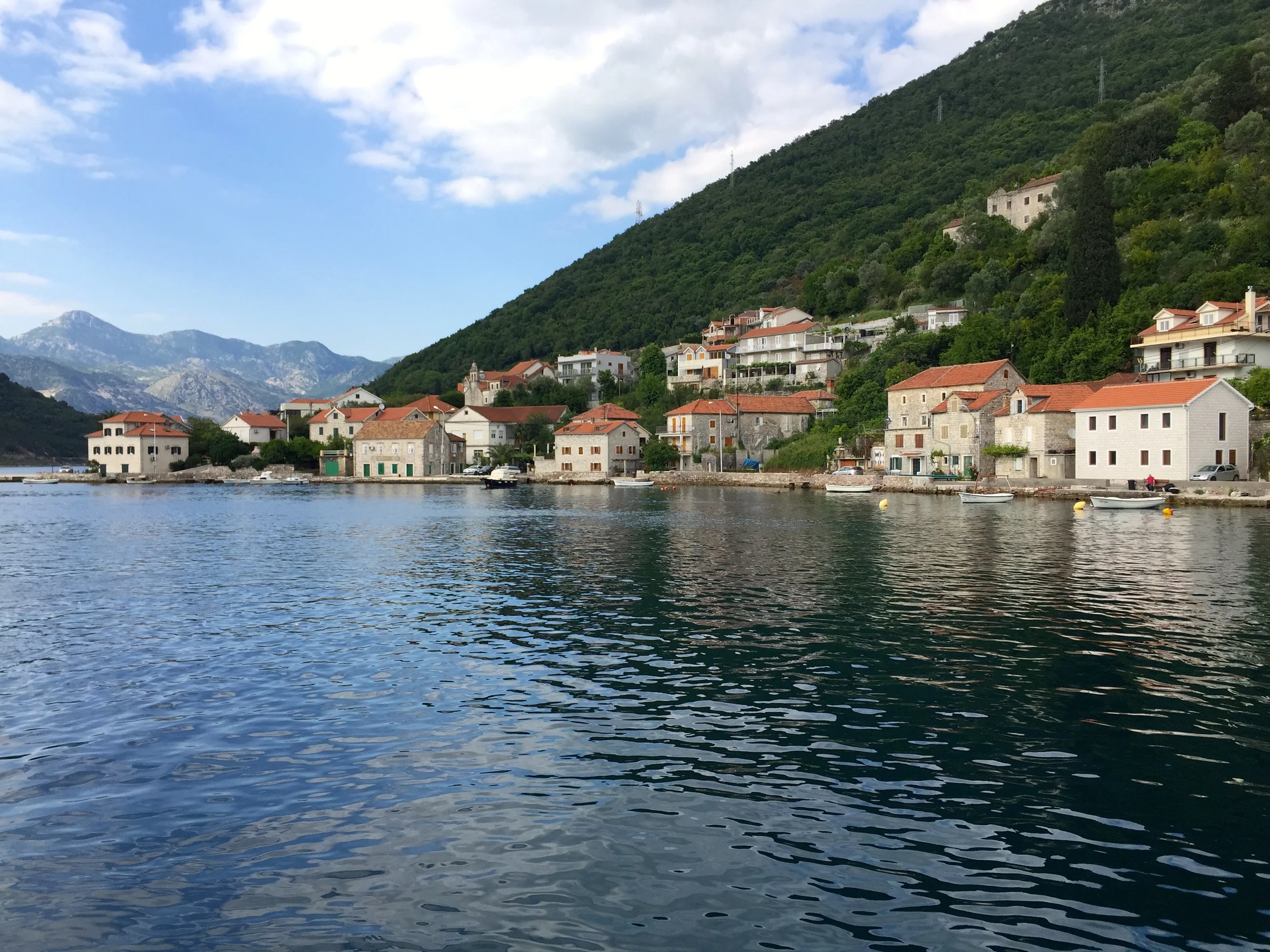IMG_3859.JPG
