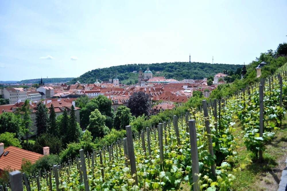 DSC_0268.JPG