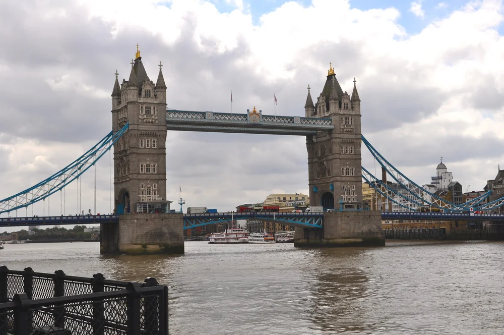 DSC_0419.JPG
