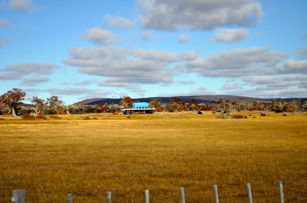 DSC_0683.JPG