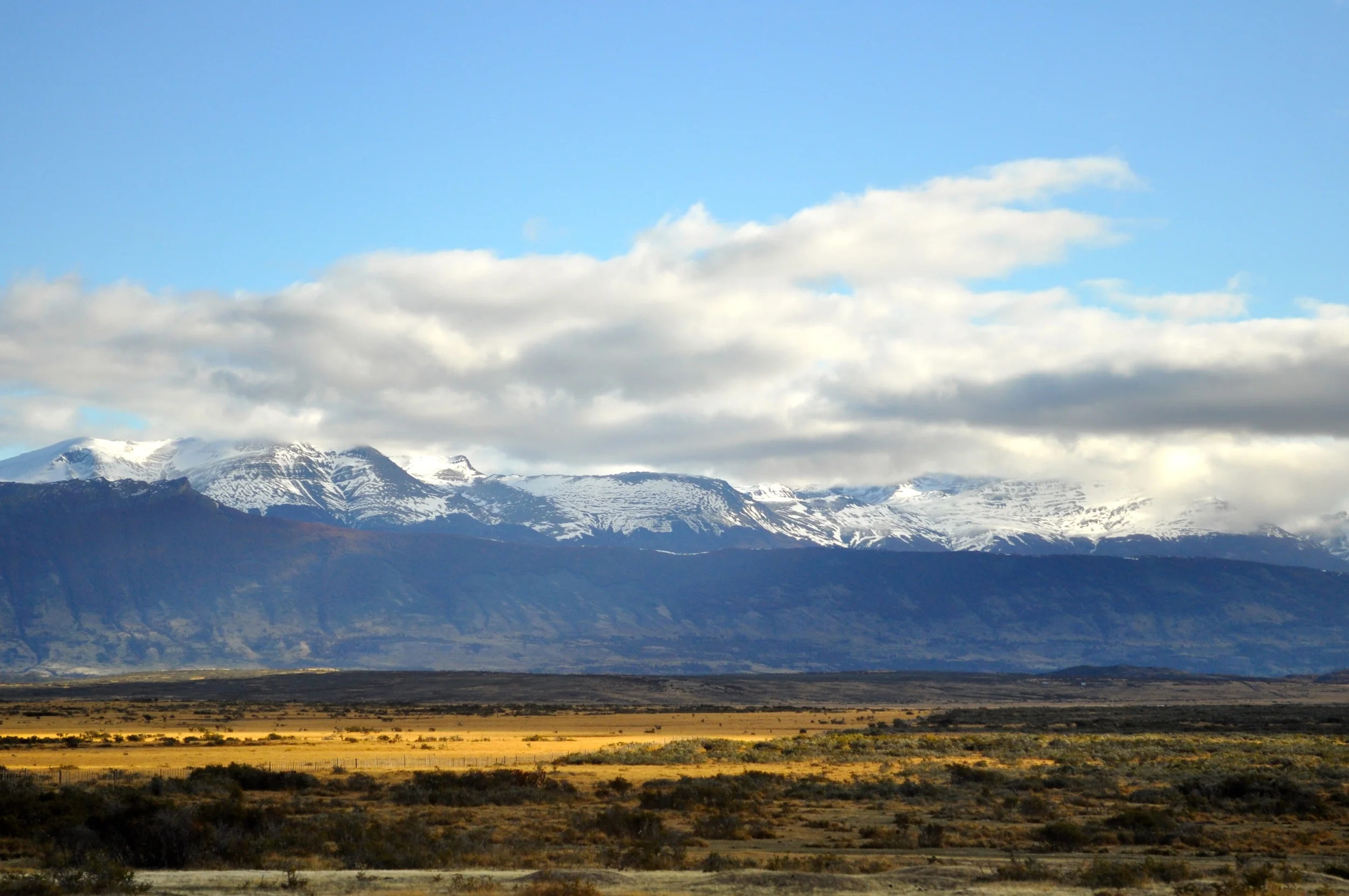 DSC_0746.JPG