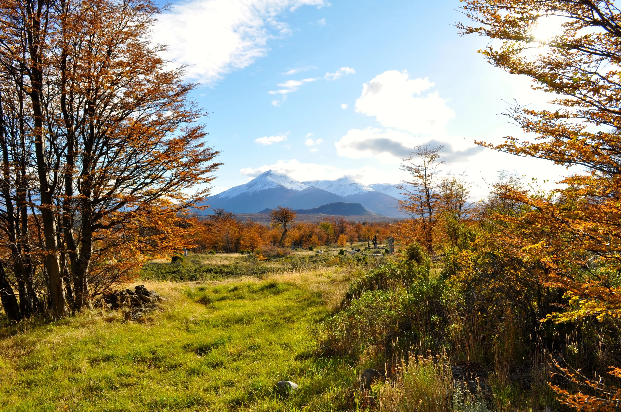 DSC_0751.JPG