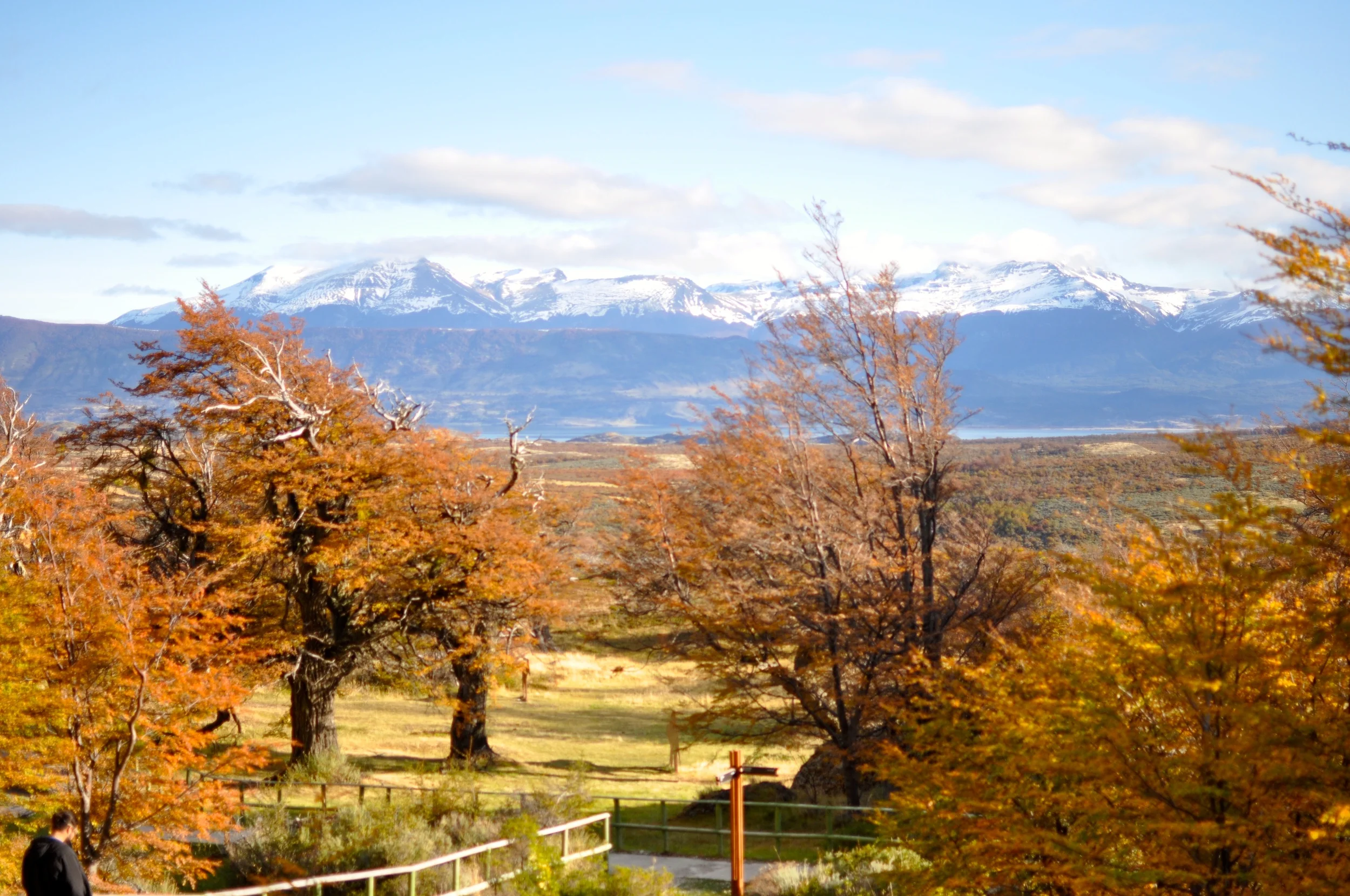 DSC_0776.JPG