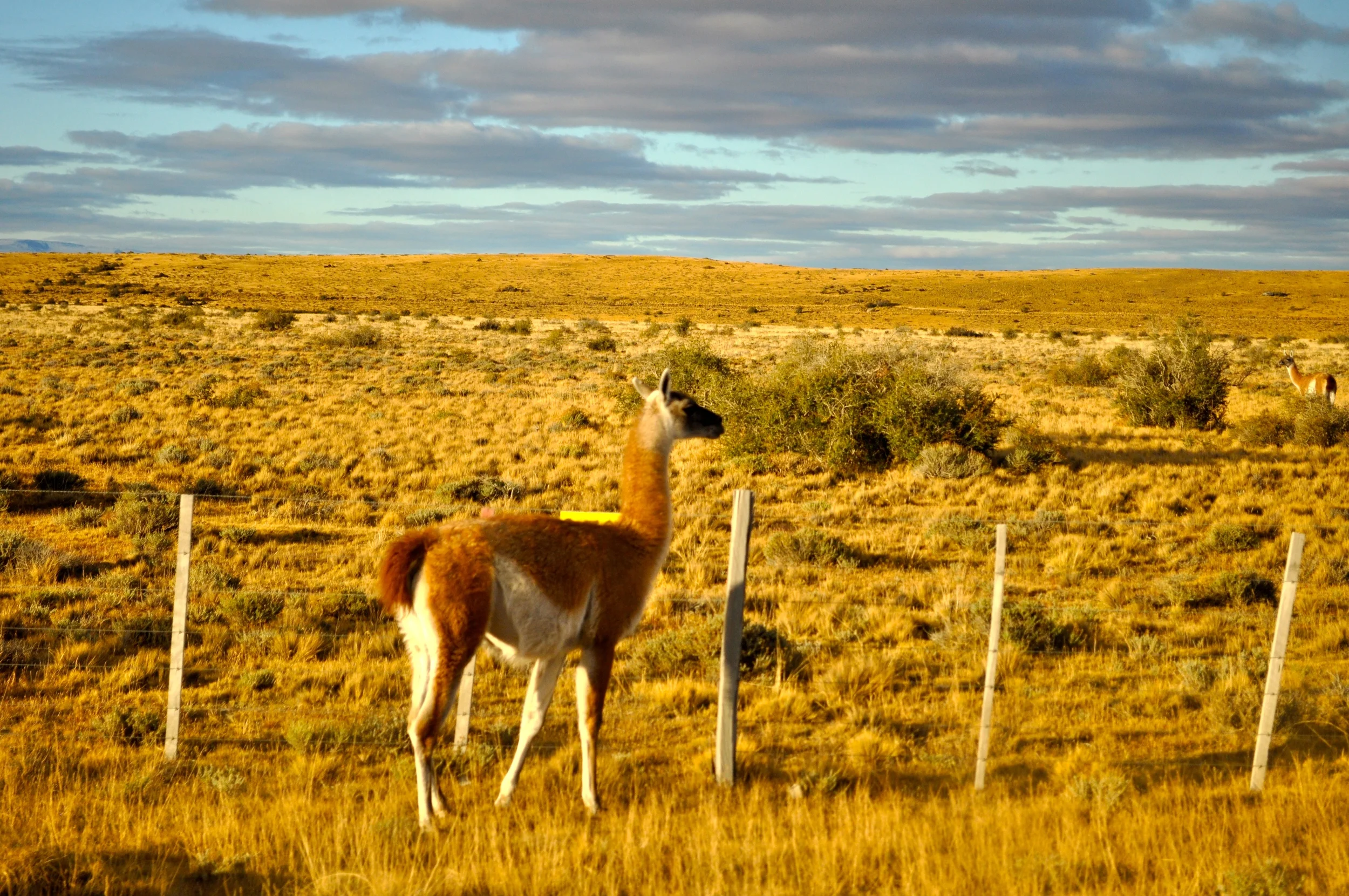 DSC_0802.JPG