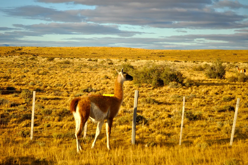 DSC_0802.JPG