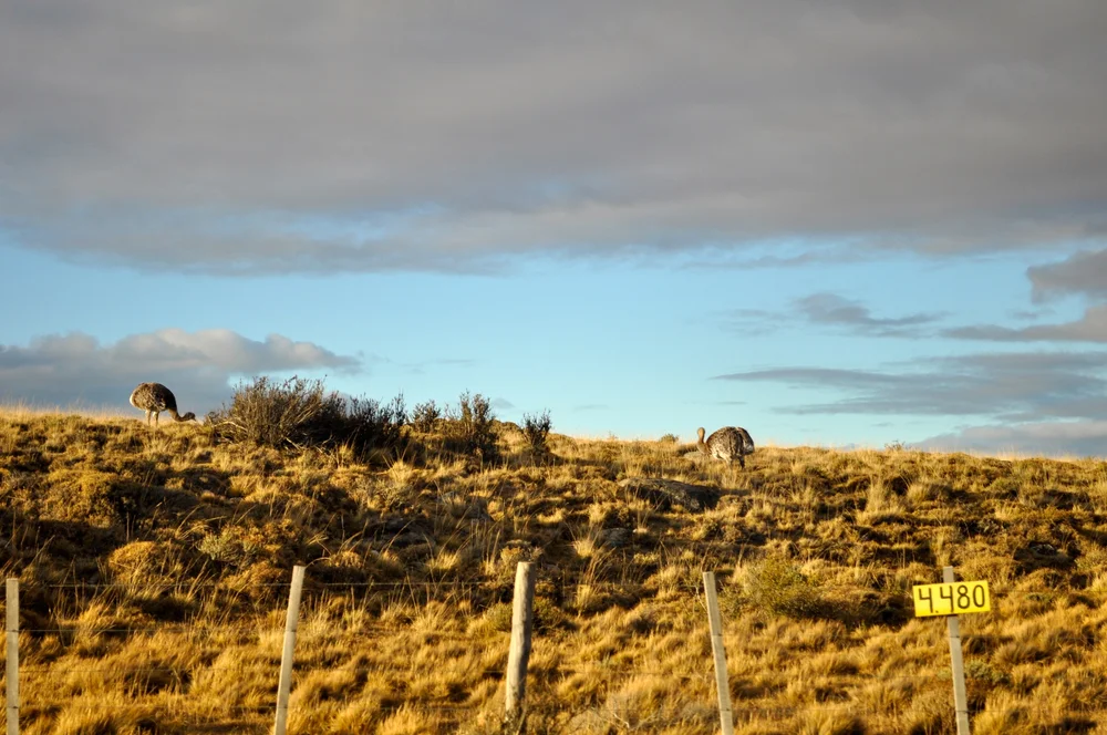 DSC_0805.JPG