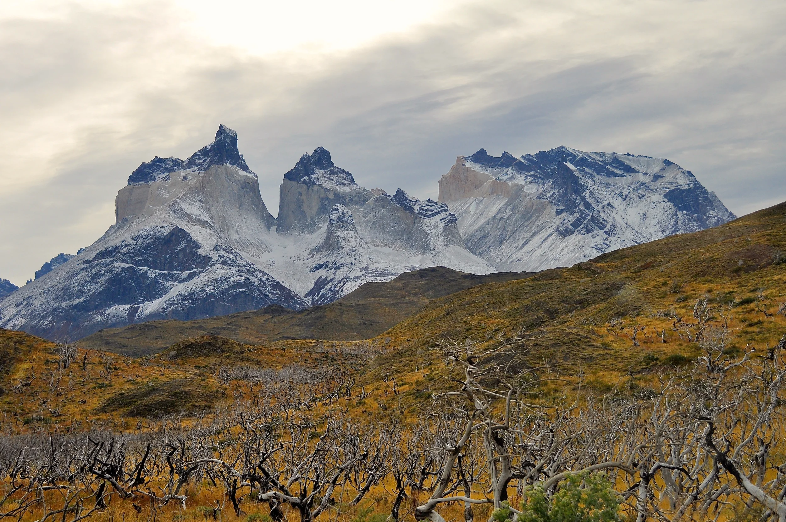 DSC_1049.JPG