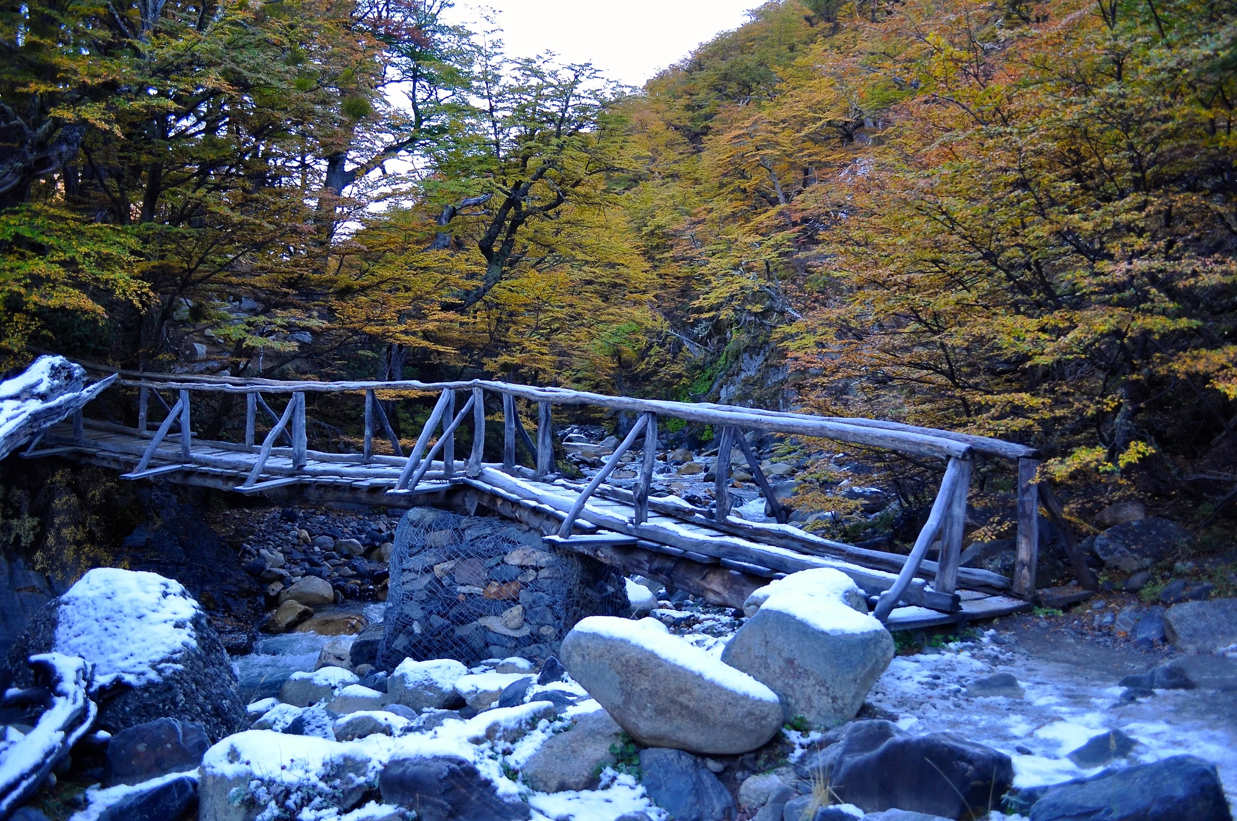 DSC_1248.JPG
