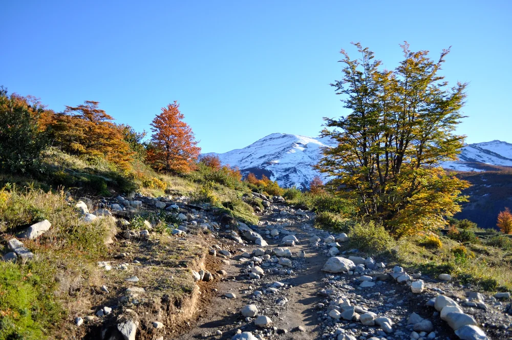 DSC_1217.JPG