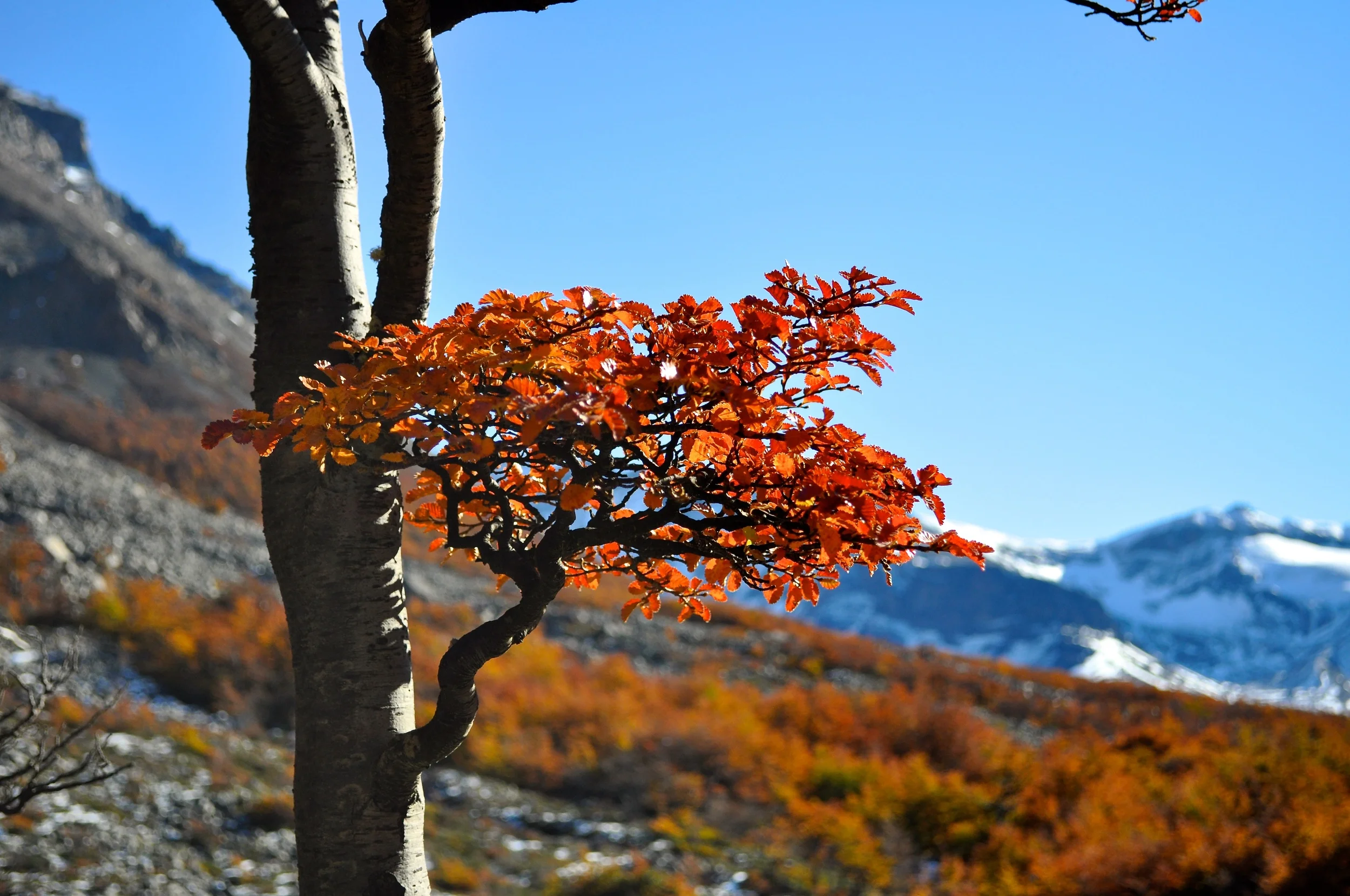 DSC_1273.JPG