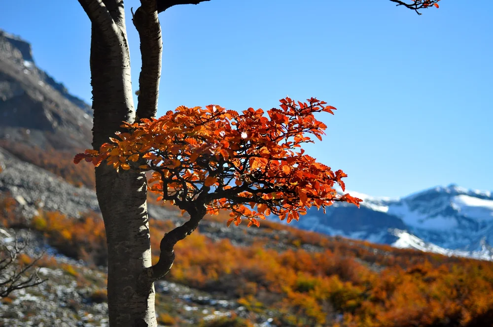 DSC_1273.JPG