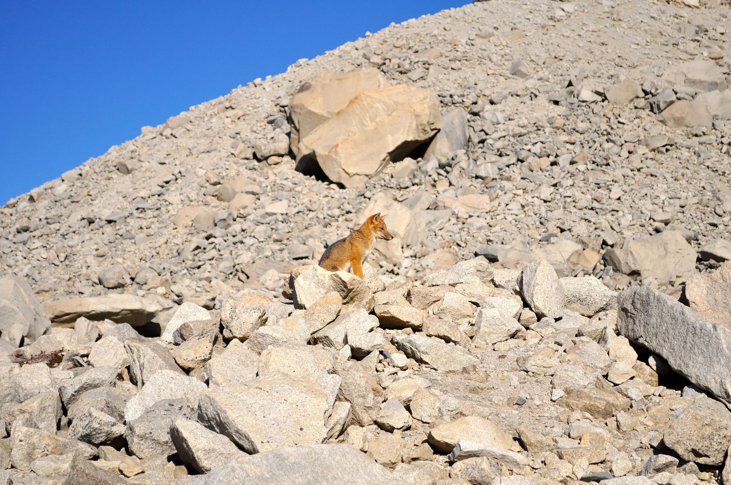 DSC_1284.JPG