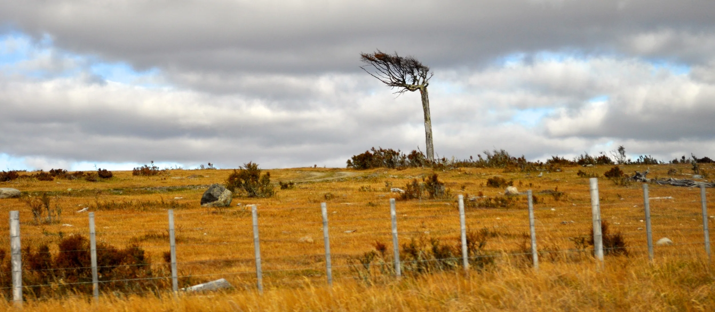 DSC_0688.JPG