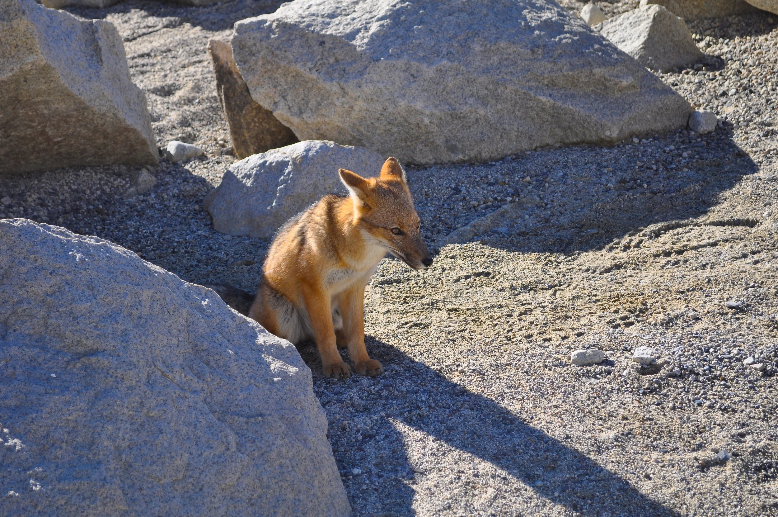 DSC_1281.JPG