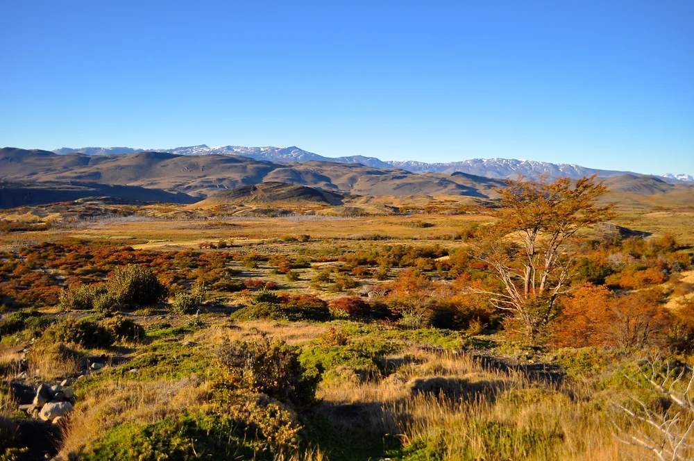 DSC_1211.JPG