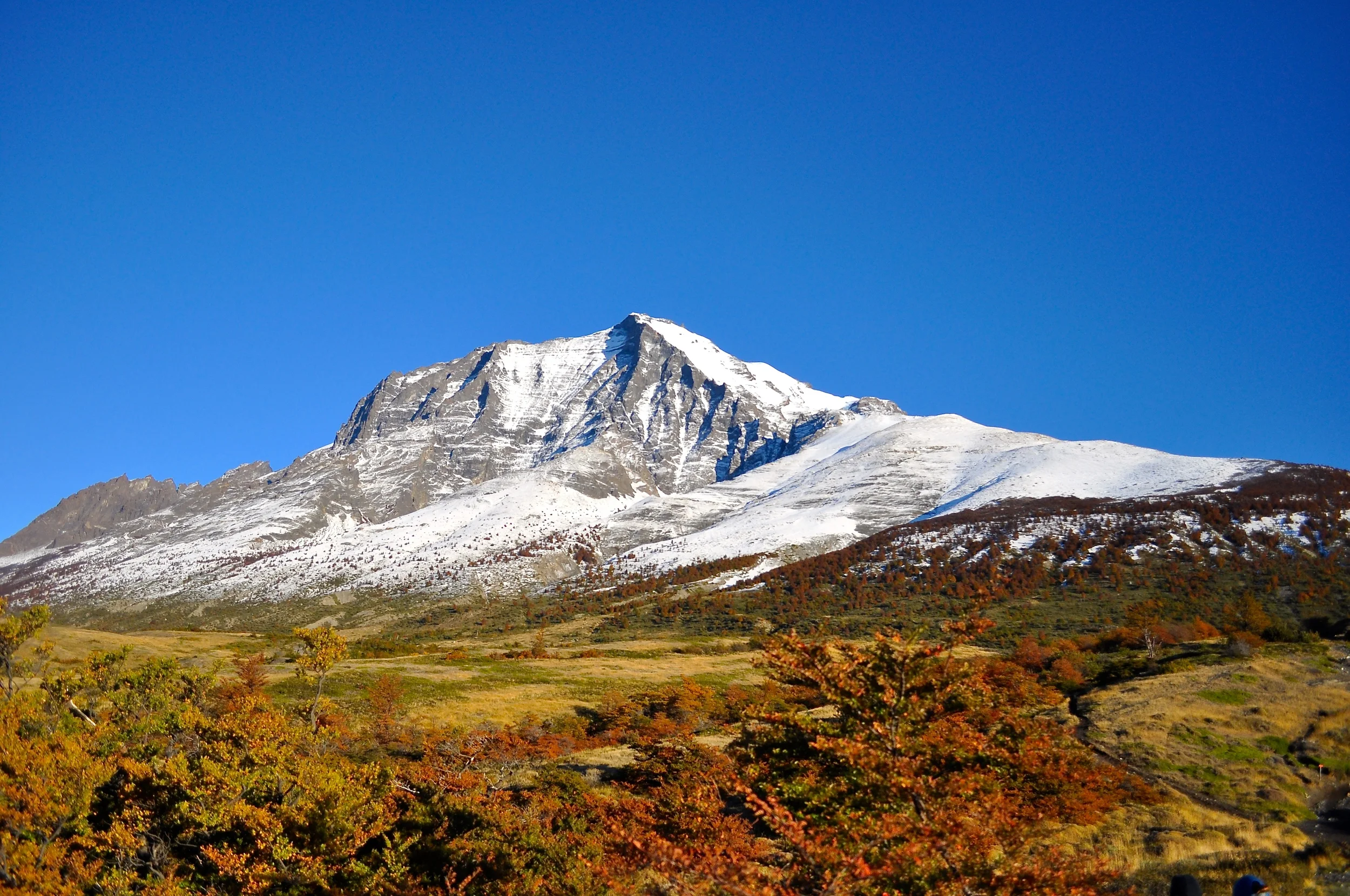 DSC_1210.JPG