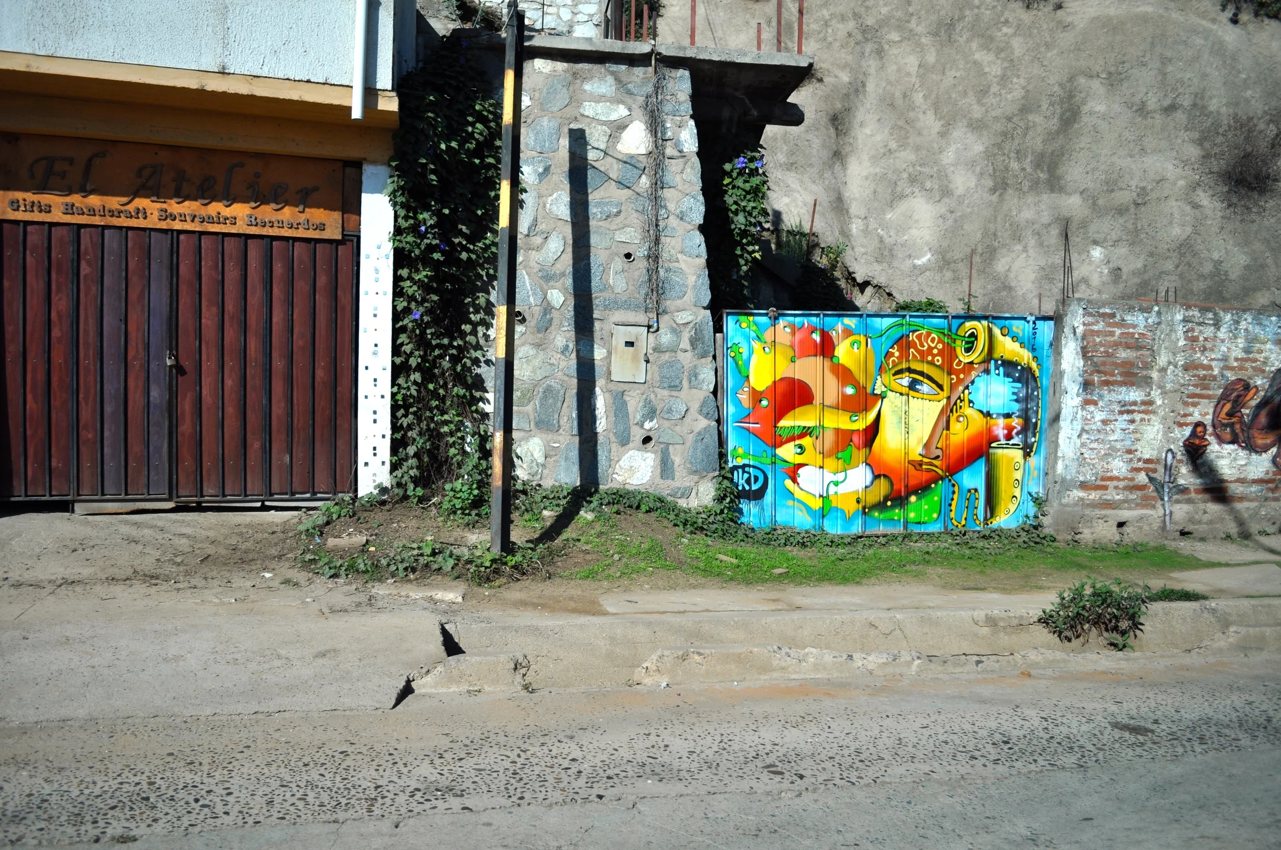 DSC_1391.JPG