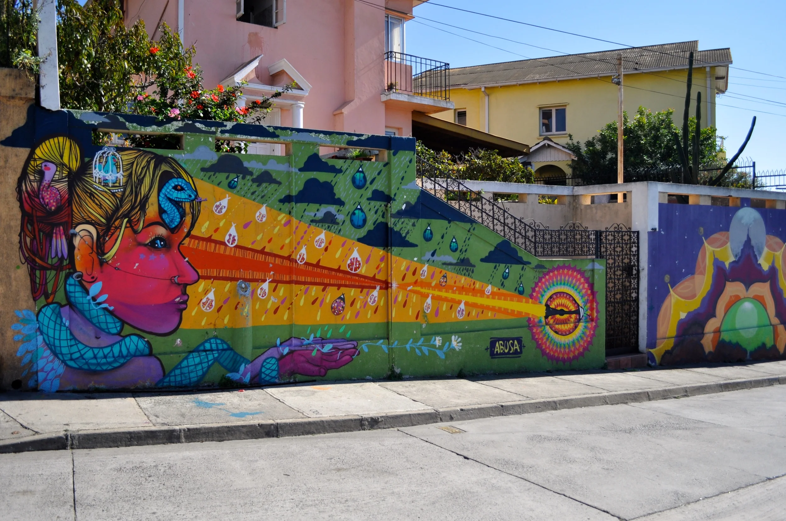 DSC_1421.JPG