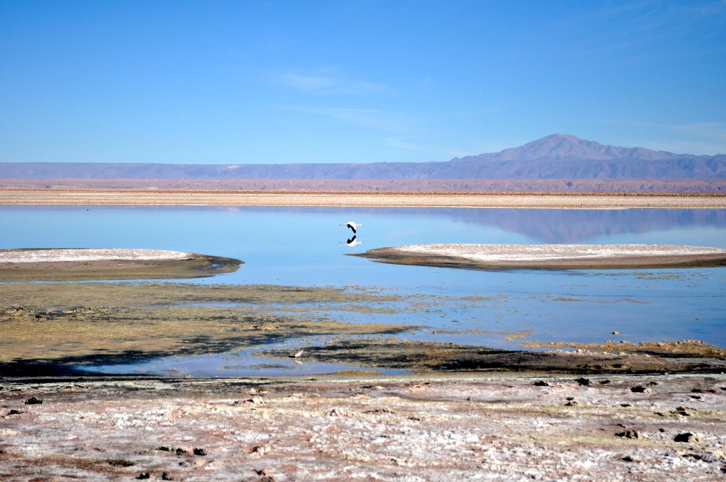 DSC_0038.JPG