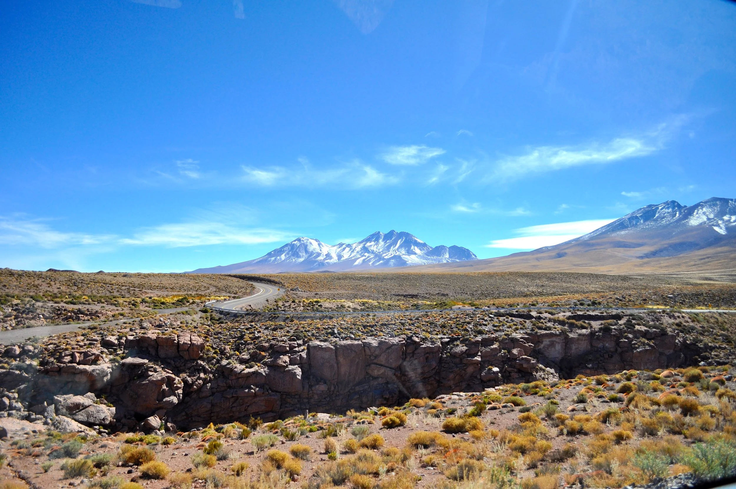 DSC_0101.JPG