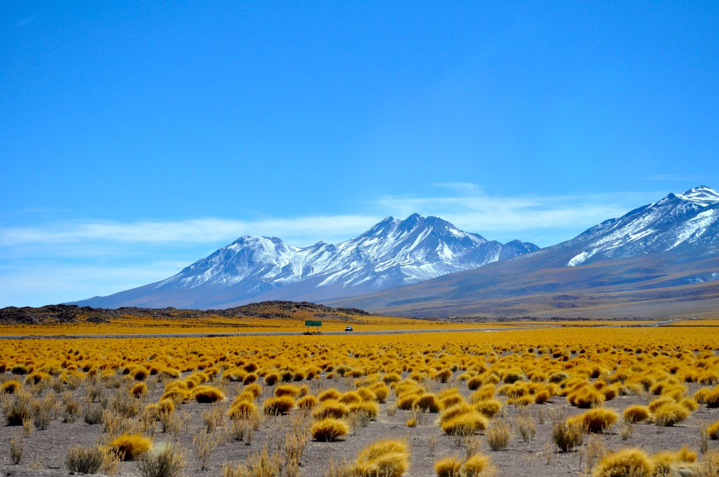 DSC_0198.JPG