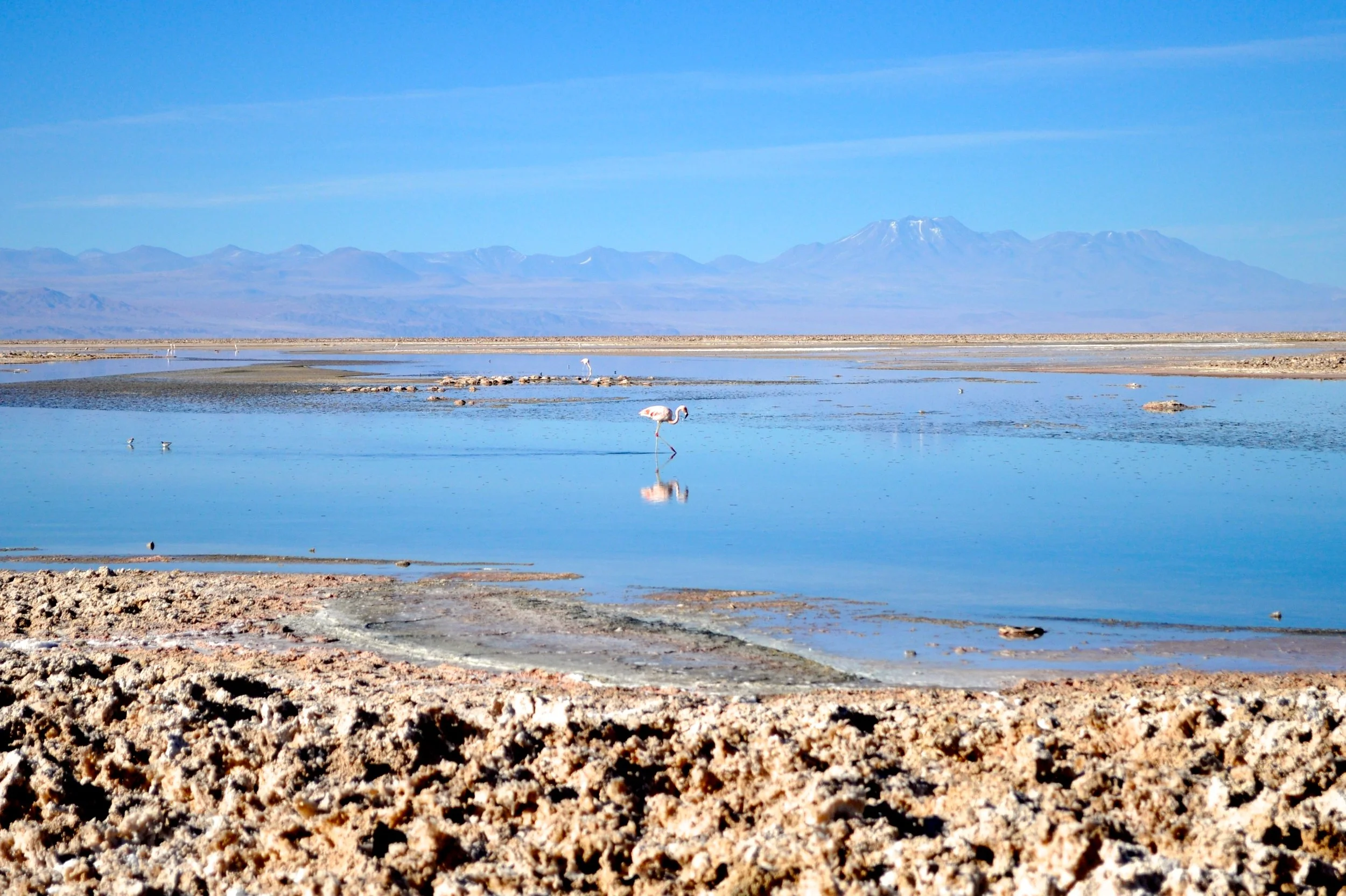 DSC_0055.JPG