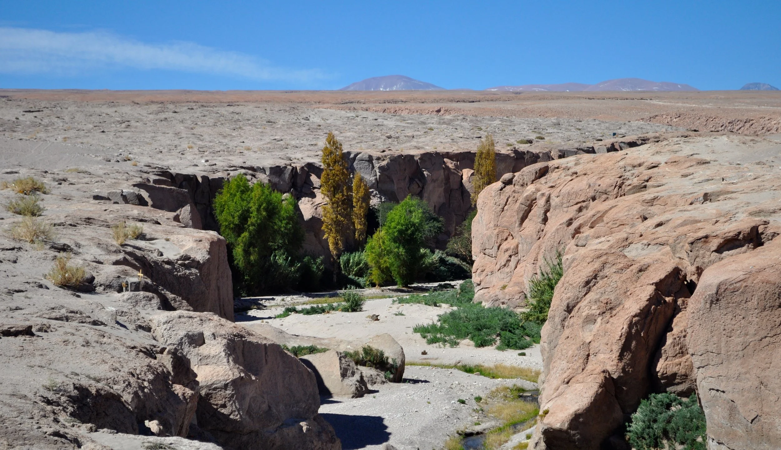 DSC_0230.JPG