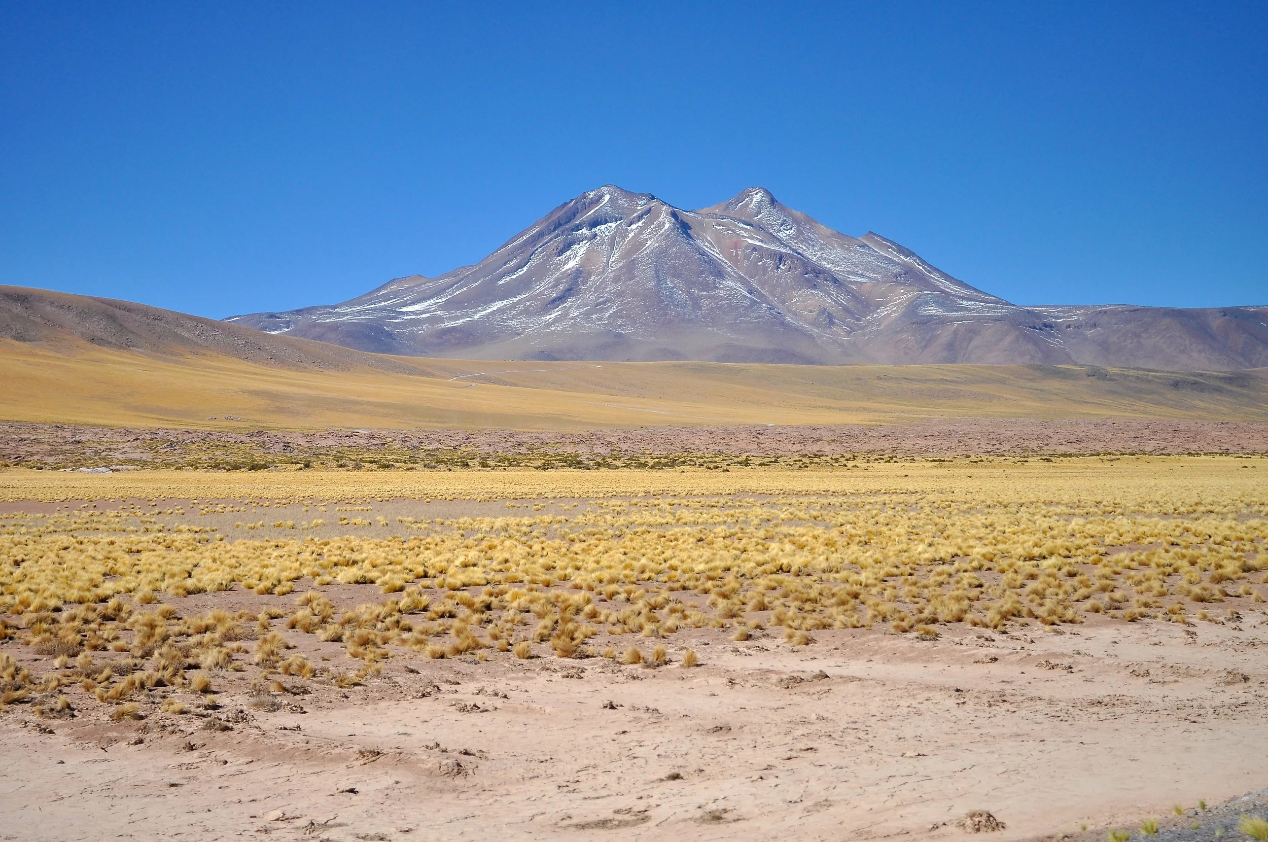DSC_0116.JPG