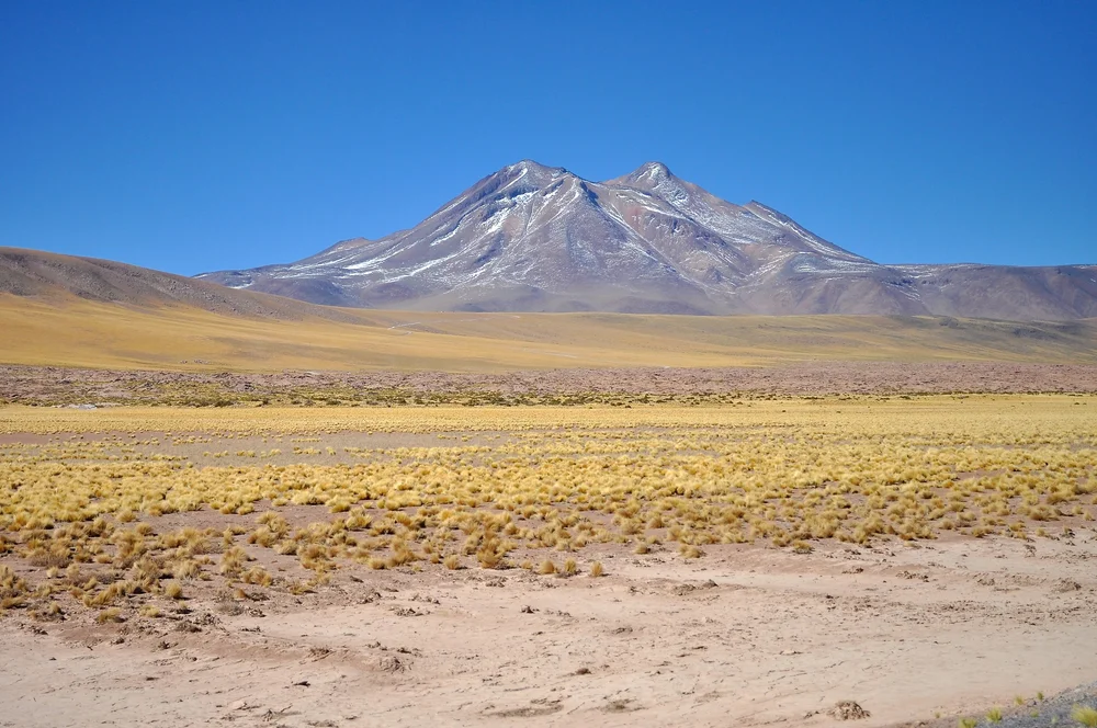 DSC_0116.JPG